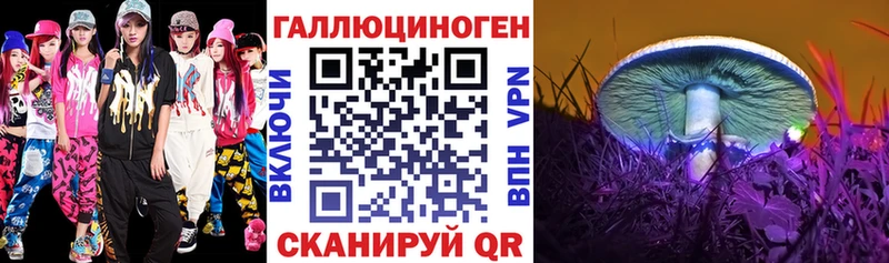 Галлюциногенные грибы Psilocybine cubensis  blacksprut   Павлово 